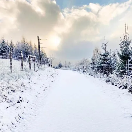 In Neuastenberg Nahe Postwiese Winterberg