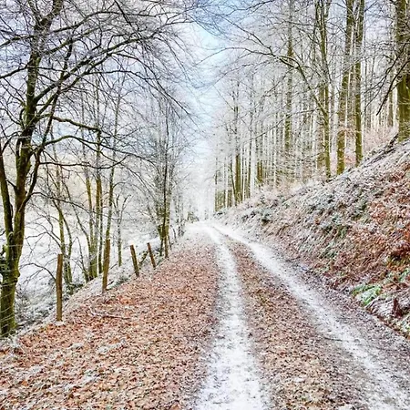 Gemuetliches An Den Skipisten Casa vacanze *