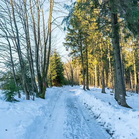 Ferienhaus In Neuastenberg Nahe Postwiese