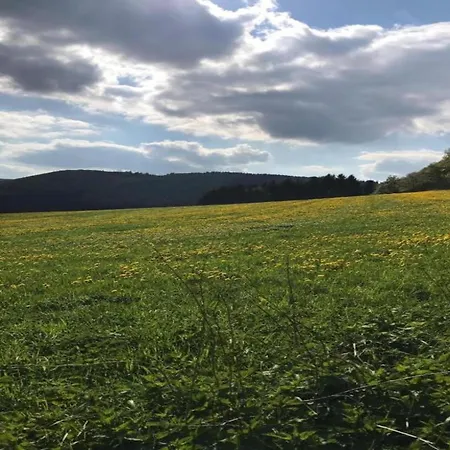 In Neuastenberg Nahe Postwiese Ferienhaus
