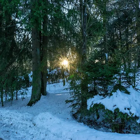 Gemuetliches An Den Skipisten *