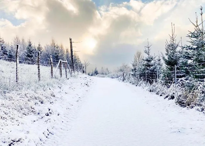 In Neuastenberg Nahe Postwiese Winterberg