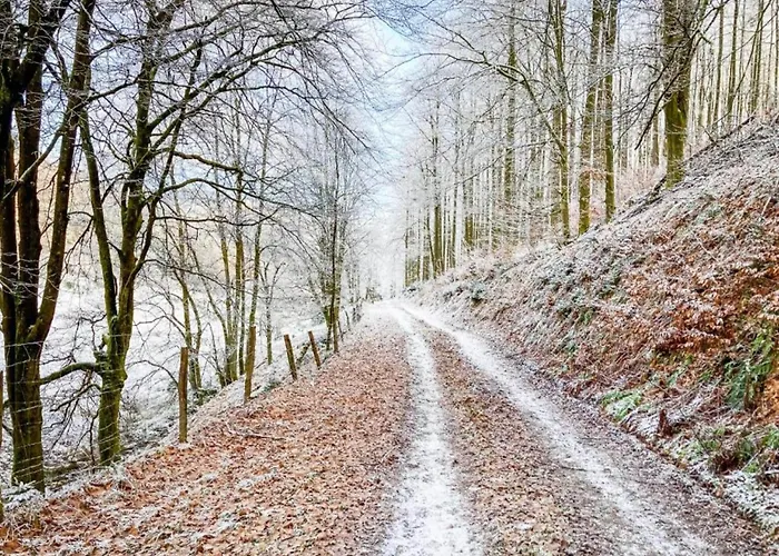In Neuastenberg Nahe Postwiese Nyaraló *